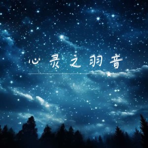 Listen to 心灵之羽音 (完整版) song with lyrics from 乐野十里