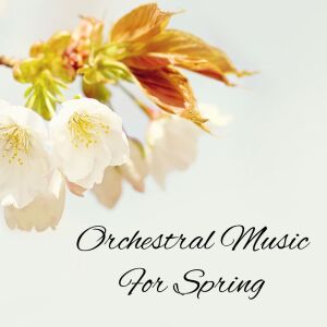 收听Bratislava Chamber Orchestra的Six Landler歌词歌曲