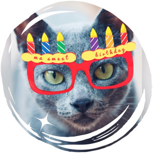 Dengarkan lagu happy birthday cat nyanyian Maxgrecus dengan lirik