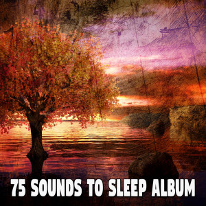 收聽Baby Sleep Through the Night的Disable Distractions歌詞歌曲