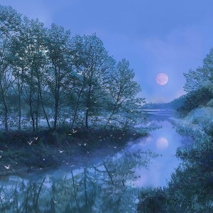 default playlist img