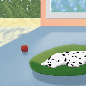 default playlist img