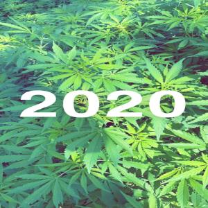 Listen to 2020 (Explicit) song with lyrics from 23kp