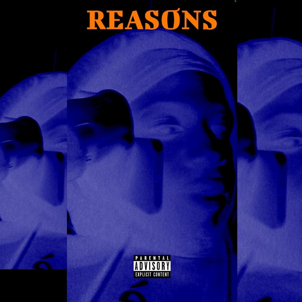 Reasons (Explicit)