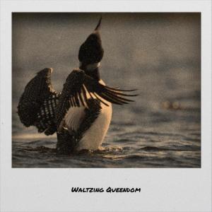 Various的专辑Waltzing Queendom