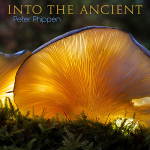 Peter Phippen的專輯Into the Ancient