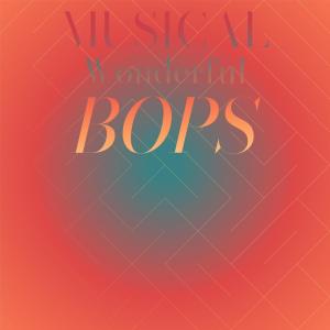 Various的专辑Musical Wonderful Bops