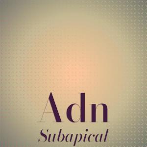 Various Artists的專輯Adn Subapical