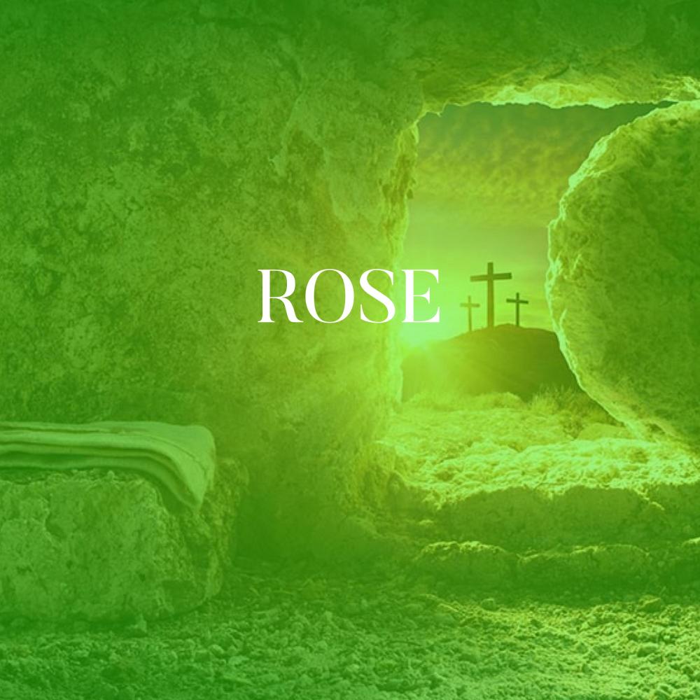 ROSE (feat. Miggy)