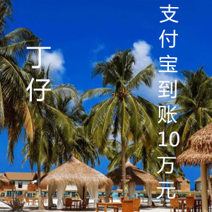 Listen to 支付宝到账10万元 song with lyrics from 丁仔