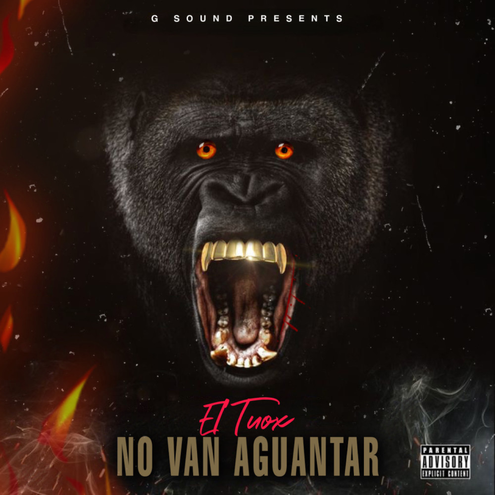 No Van Aguantar (Explicit)