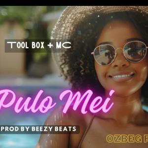收聽Ozlam的Pulo Mei (feat. Toolbox ft MC)歌詞歌曲