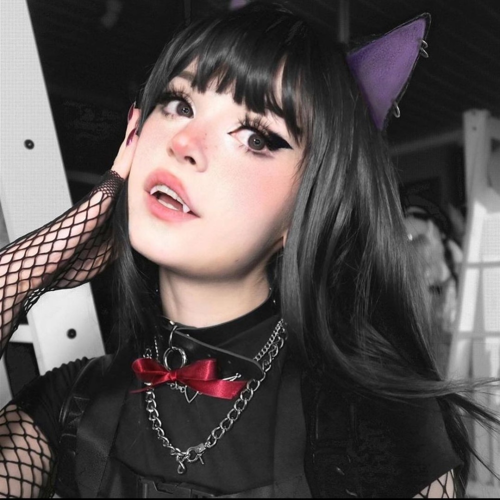 Favxrite Dream