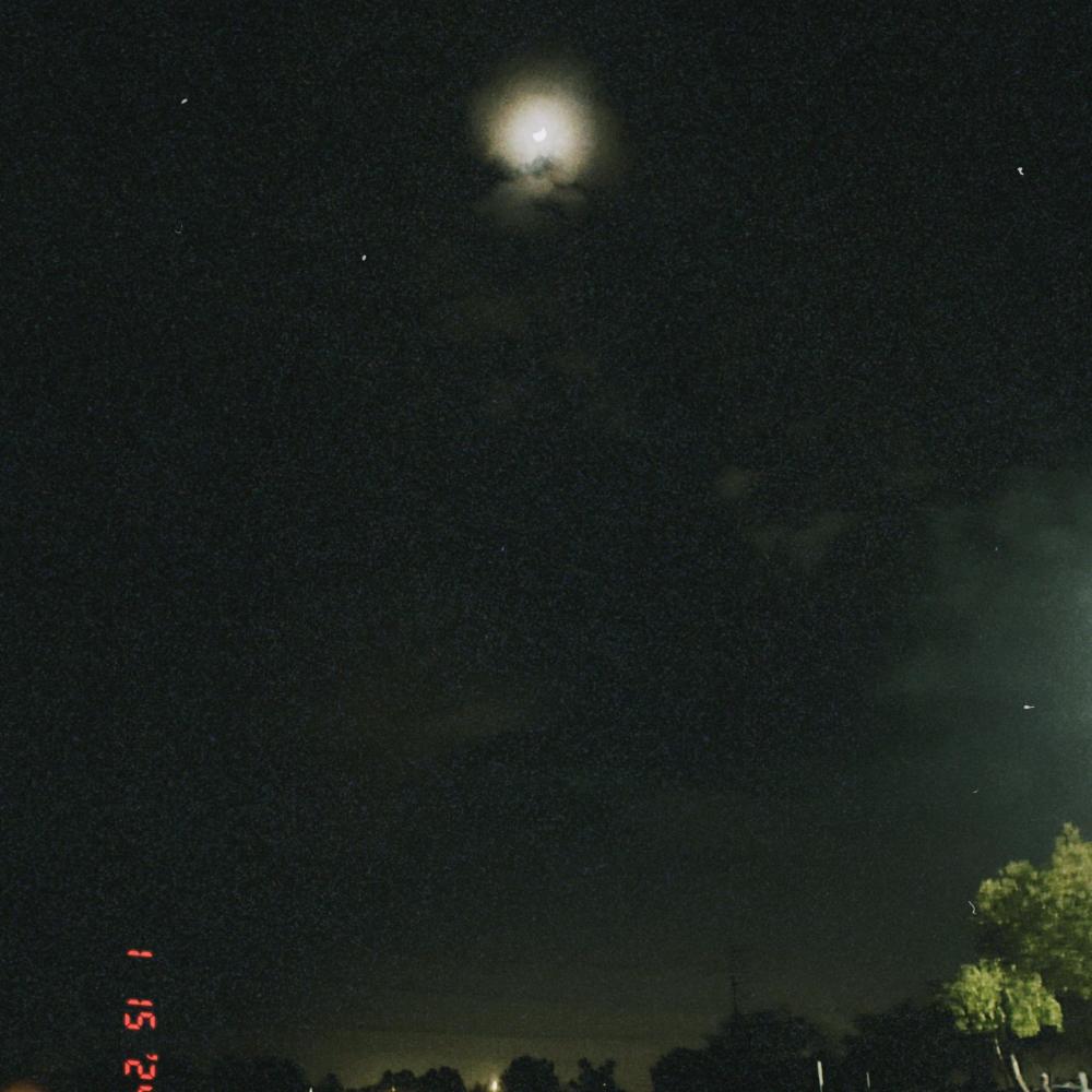 Forever Gone (Explicit)