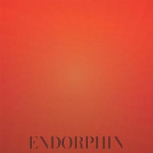ดาวน์โหลดและฟังเพลง Chophouse Blonde พร้อมเนื้อเพลงจาก Dala Hener