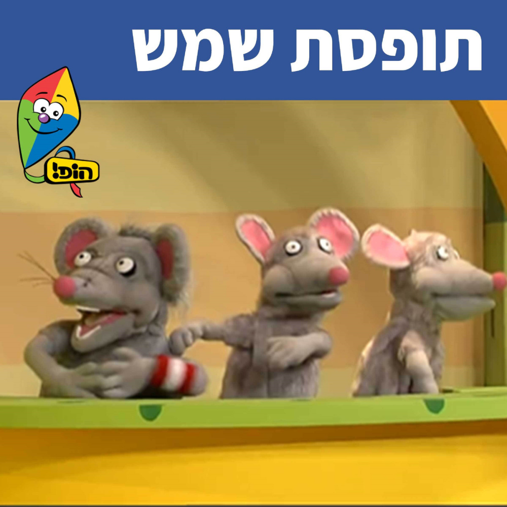 תופסת שמש