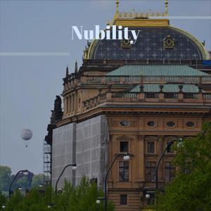 Album Nubility from Various Artists