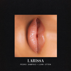 ดาวน์โหลดและฟังเพลง LARISSA พร้อมเนื้อเพลงจาก Pedro Sampaio