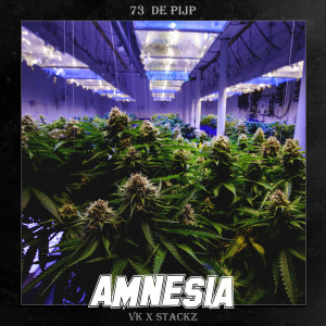 Listen to Amnesia song with lyrics from Vk