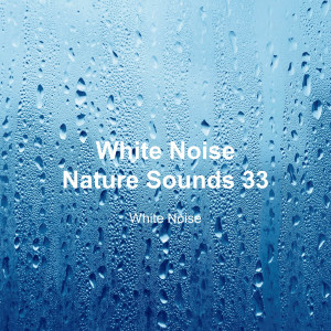 อัลบัม White Noise 33 (Rain Sounds, Bonfire Sound, Baby Sleep, Deep Sleep) ศิลปิน White Noise