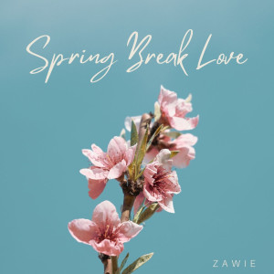 Listen to Spring Break Love song with lyrics from Zawie