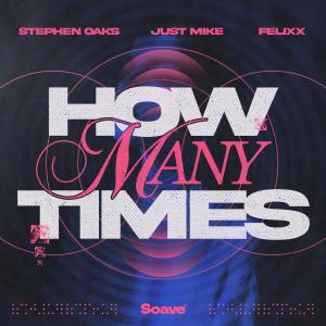 ดาวน์โหลดและฟังเพลง How Many Times พร้อมเนื้อเพลงจาก Stephen Oaks