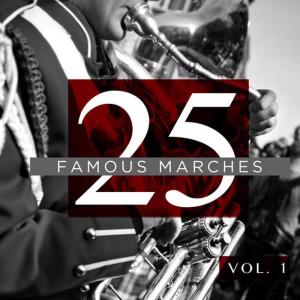 收聽Concert Band United States Air Force Band of the Rockies的Amparito Roca (arr. R. Doersch)歌詞歌曲