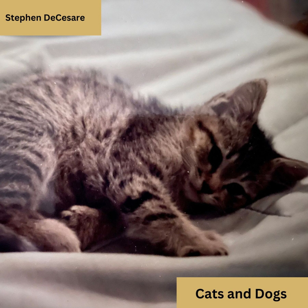 Cats and Dogs