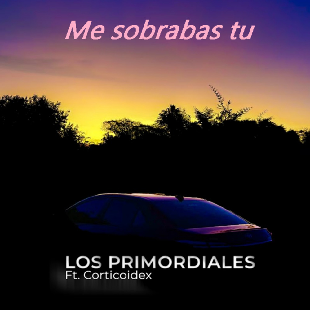 Me Sobrabas Tu