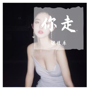 อัลบัม 你走 ศิลปิน 张佳乐