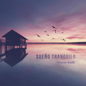ดาวน์โหลดและฟังเพลง Sueño tranquilo (Sound Bath) พร้อมเนื้อเพลงจาก Pedro Caceres