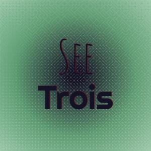 Various Artists的專輯See Trois