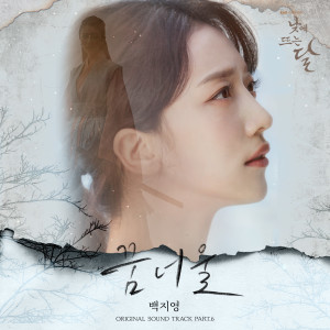 白智英的专辑낮에 뜨는 달 OST Part.6