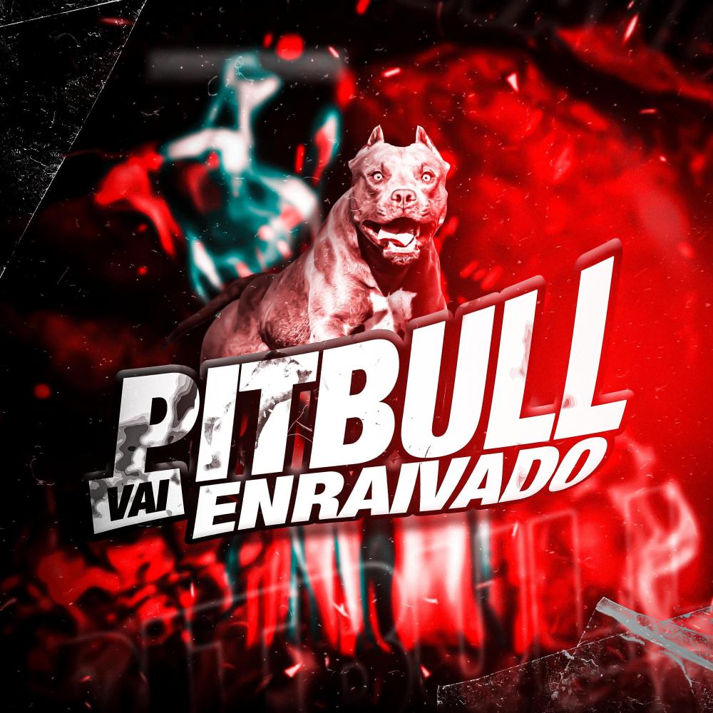VAI PITBULL ENRAIVADO (feat. Dj Denilson o clínico|Explicit)