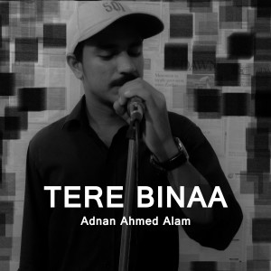ดาวน์โหลดและฟังเพลง Tere Binaa พร้อมเนื้อเพลงจาก Adnan Ahmed Alam