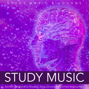 Listen to Piano Study Music (Asmr) song with lyrics from Study Music