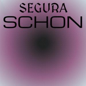 อัลบัม Segura Schon ศิลปิน Various