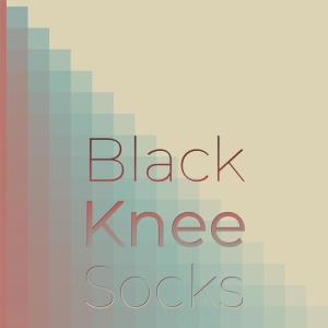 Listen to Black Knee Socks song with lyrics from Clyde Beaver
