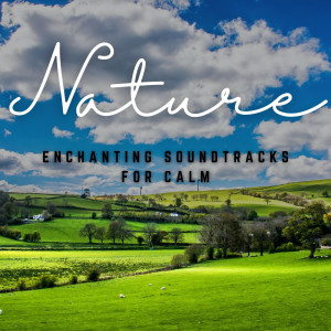 อัลบัม Meditation Serenades: Enchanting Soundtracks for Calm ศิลปิน Meditation and Relaxation
