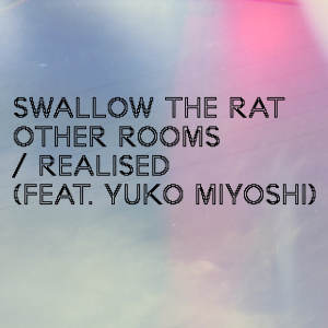 Album Other Rooms from Swallow the Rat