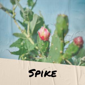 Dengarkan lagu Spike nyanyian Wilo Cans dengan lirik