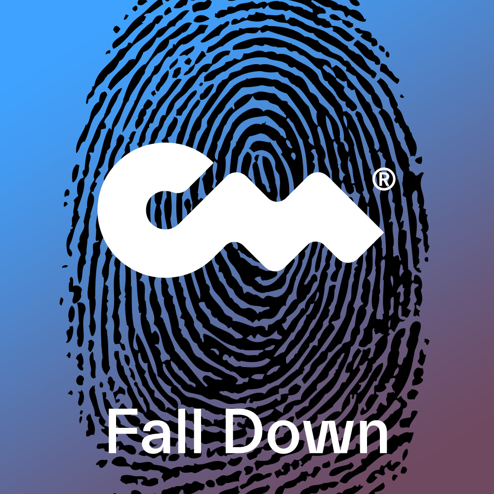 Fall Down (Moushoo Remix)