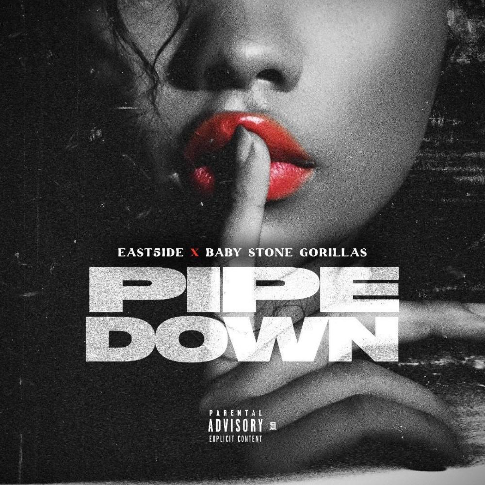 Pipe Down (feat. Baby Stone Gorillas) (Explicit)