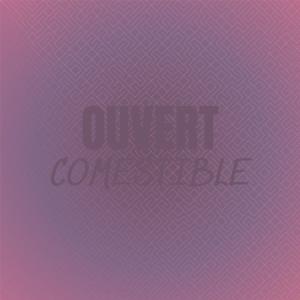 ดาวน์โหลดและฟังเพลง Tov Americans พร้อมเนื้อเพลงจาก Darl Adri