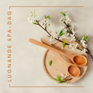 Album Lugnande spa-dag (Musik för ryggmassage och fotmassage hemma) from Lugn Spa Universum