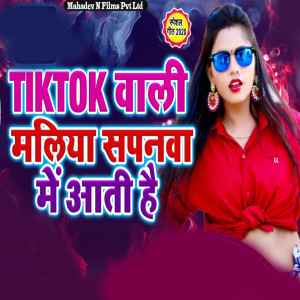 ดาวน์โหลดและฟังเพลง Tiktok Vali Maliya Sapanwa Me Aati Hai พร้อมเนื้อเพลงจาก Hariom Pandey