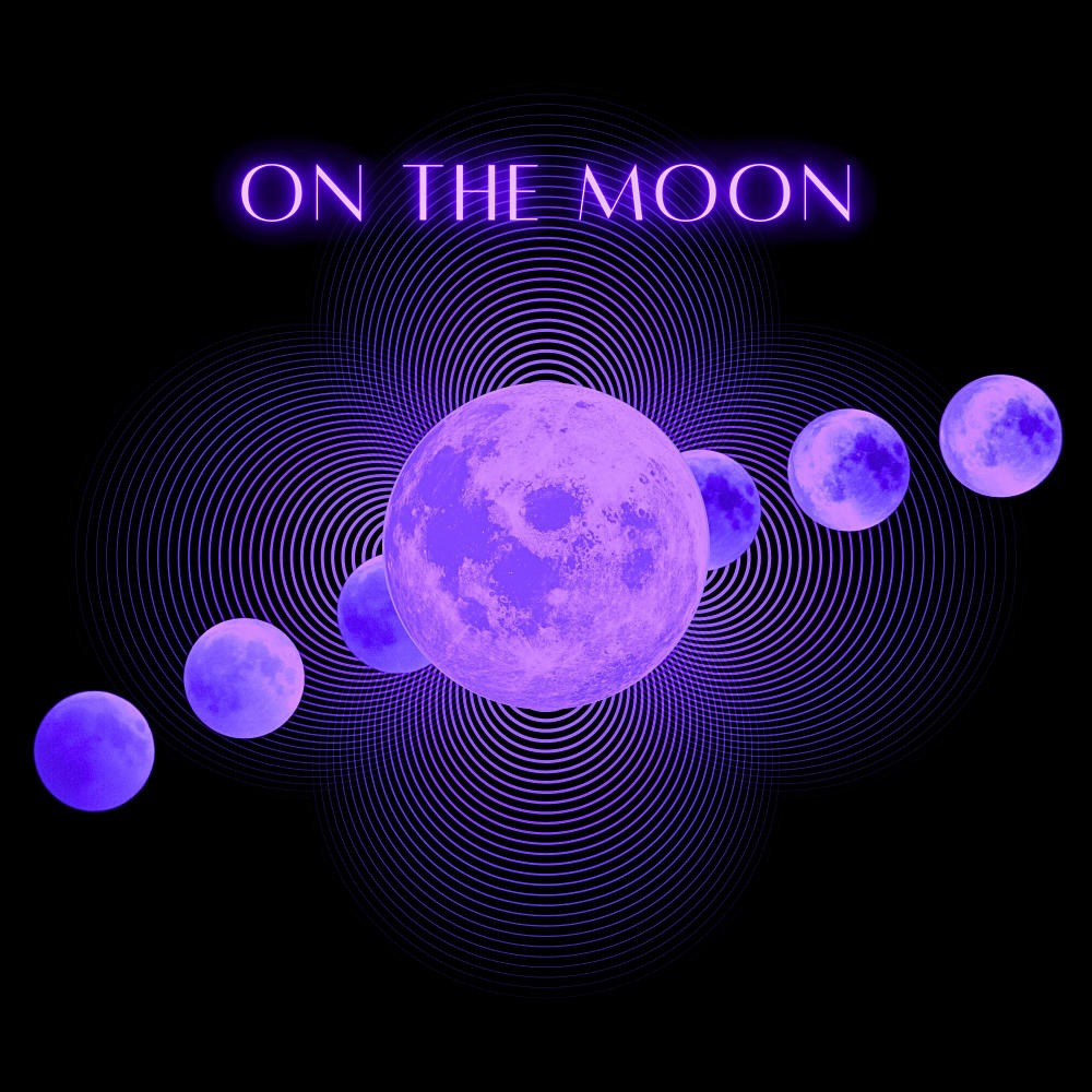 On The Moon (feat. Ray J)