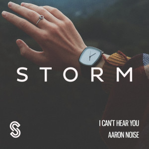 Listen to I Can't Hear You song with lyrics from Aaron Noise