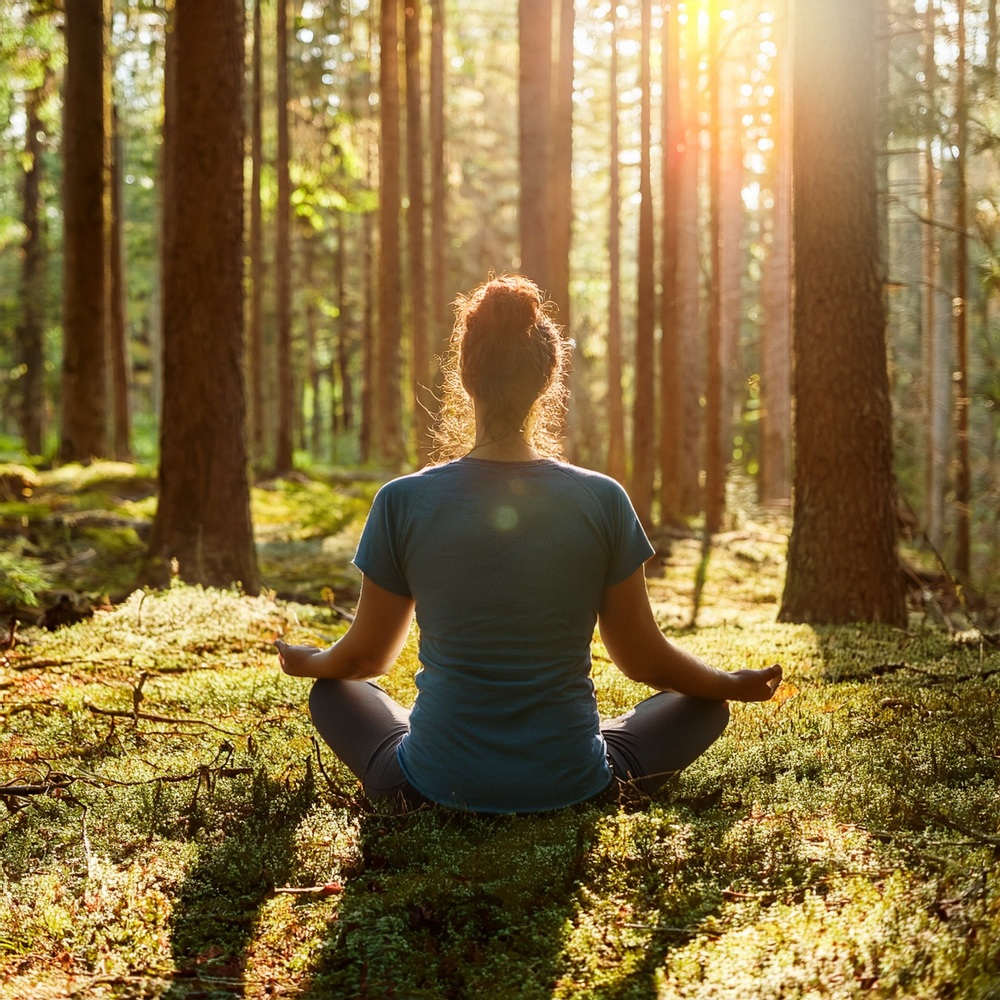 Vibraciones Tranquilas Para Una Claridad Consciente