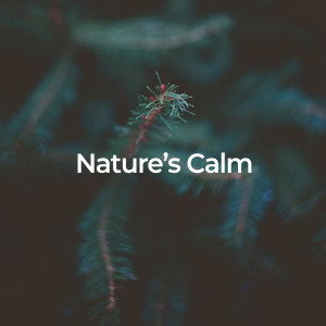 Naturalis的專輯Nature's Calm: Deep Sleep Sounds